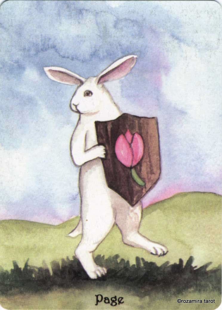 Rabbit Tarot